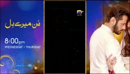 Guddi - Episode 41 - 29th January 2025